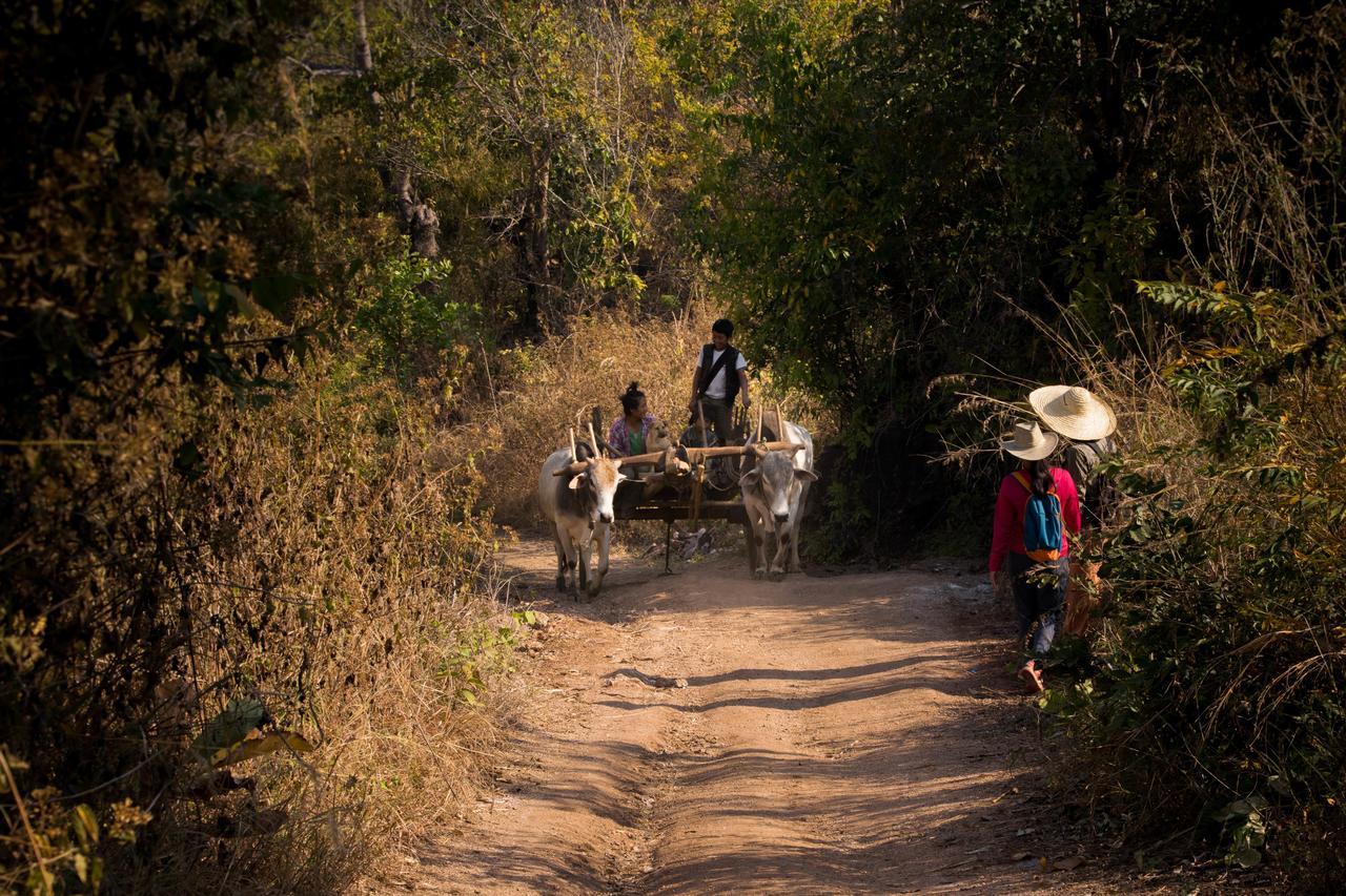 Song Of Travel Hostel Nyaungshwe Exteriör bild